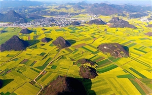 有话就说-宠物小精灵dp170,李作鹏回忆录 下载